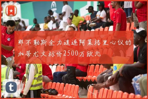 那不勒斯全力追逐阿莱格里心仪的加蒂尤文标价2500万欧元